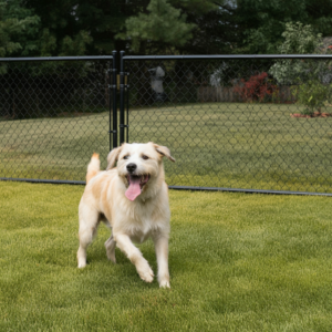 Dog Run EDWARDSVILLE FENCE DECK COMPANY